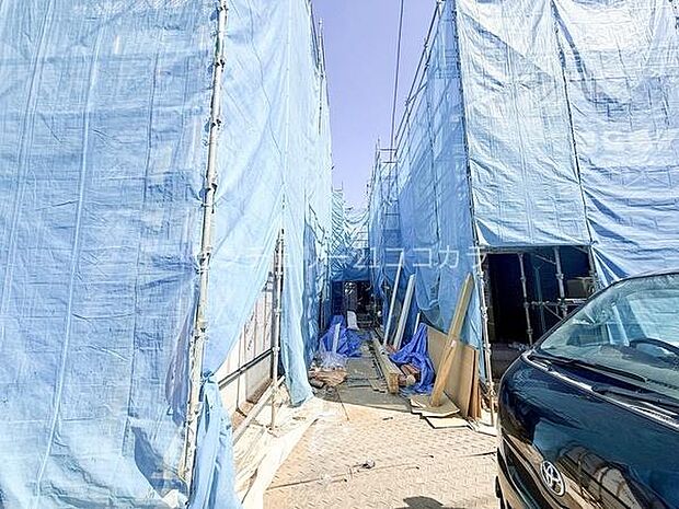 2026年3月15日撮影