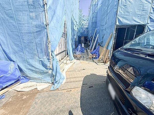 2026年3月15日撮影