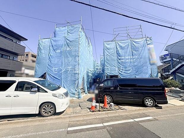 2026年3月15日撮影 全体写真