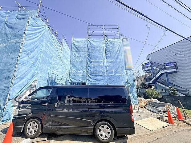 2026年3月15日撮影