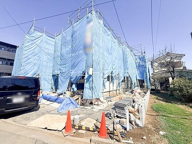 2026年3月15日撮影 全体写真