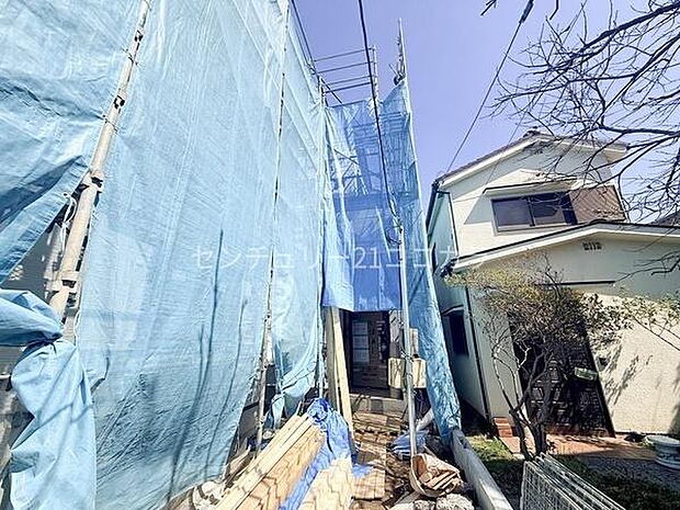 2026年3月15日撮影