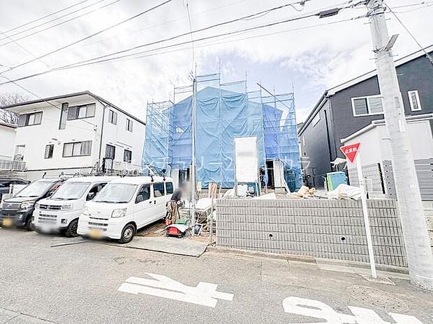 2026年3月19日撮影