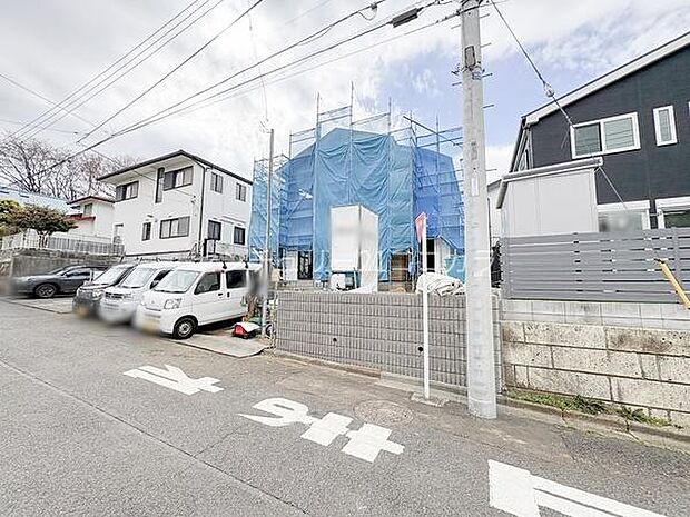 2026年3月19日撮影