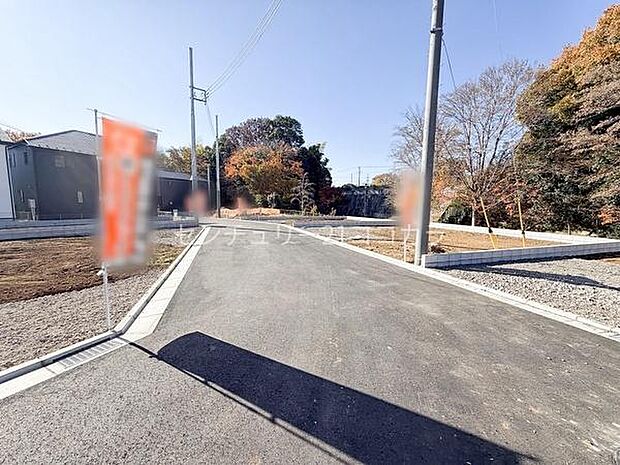 前面道路を含む現地写真