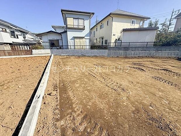 2025年10月30日撮影