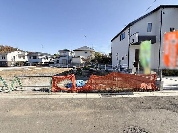 2025年11月28日撮影