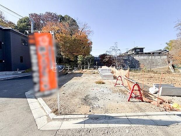 2025年11月28日撮影