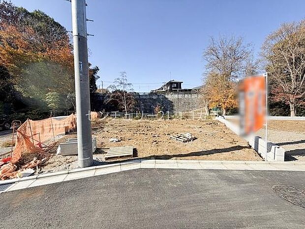 2025年11月28日撮影