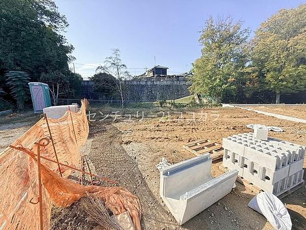 2025年11月28日撮影