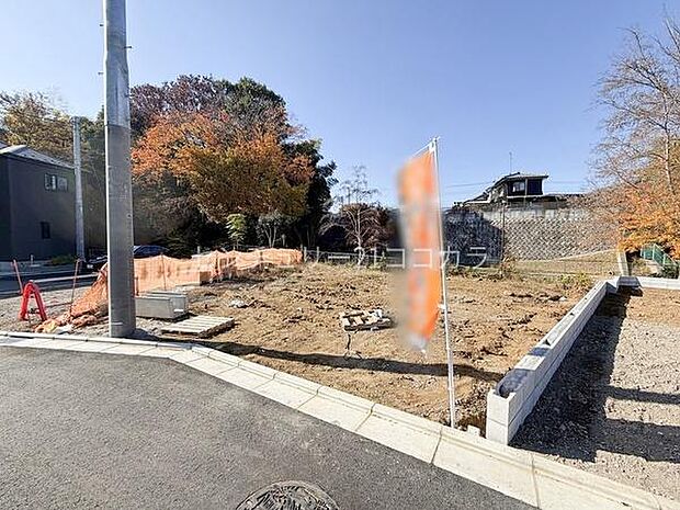 2025年11月28日撮影