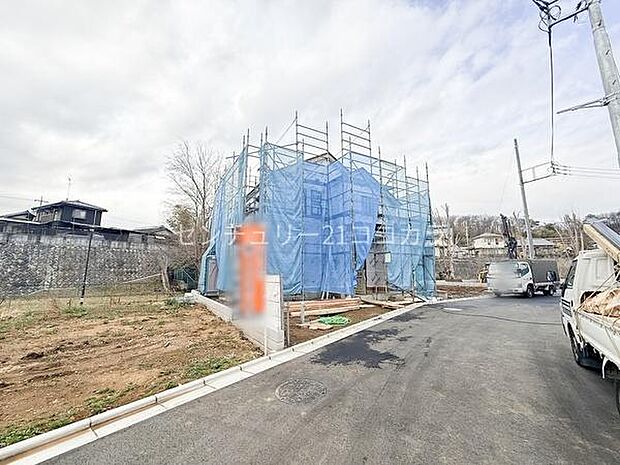 2026年3月6日撮影