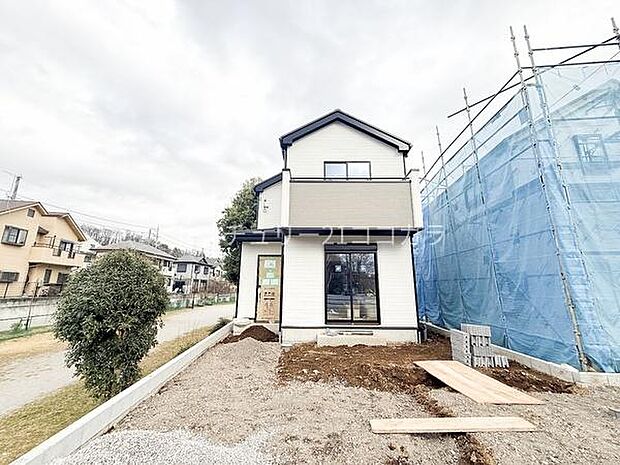 2026年3月6日撮影