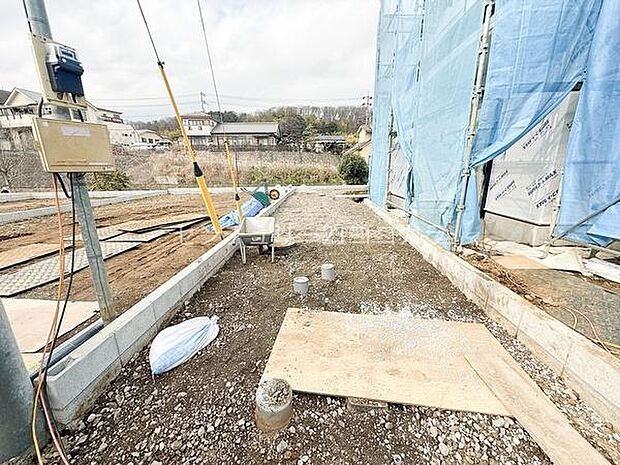 2026年3月6日撮影