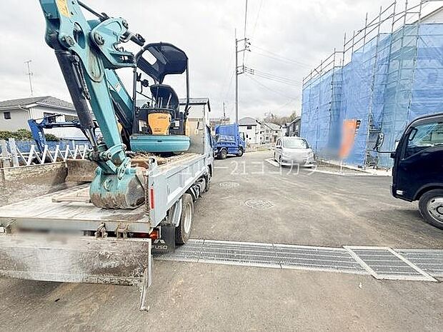 2026年3月6日撮影