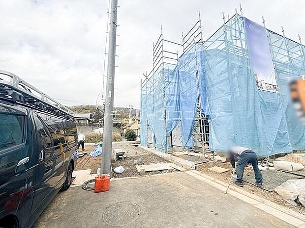 2026年3月6日撮影