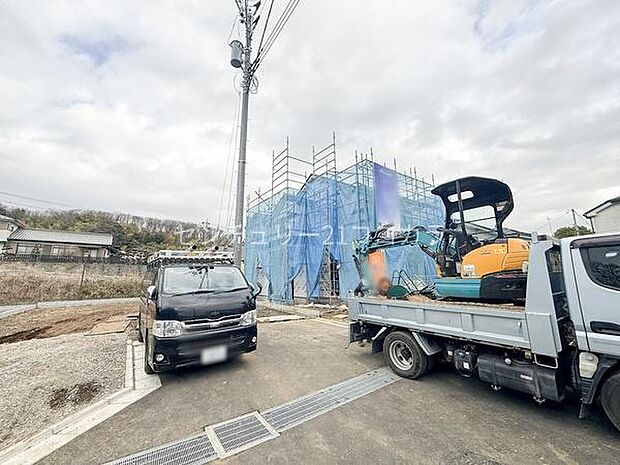 2026年3月6日撮影