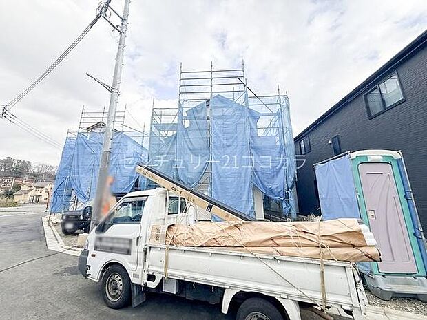 2026年3月6日撮影