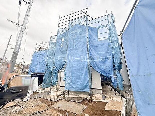 2026年3月6日撮影