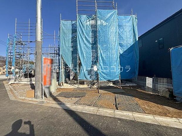 2026年1月30日撮影