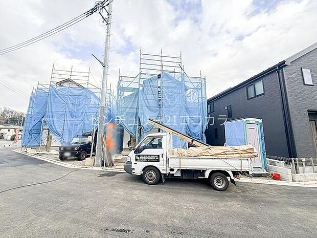 2026年3月6日撮影 全体写真