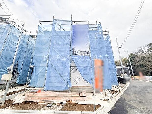 2026年3月6日撮影