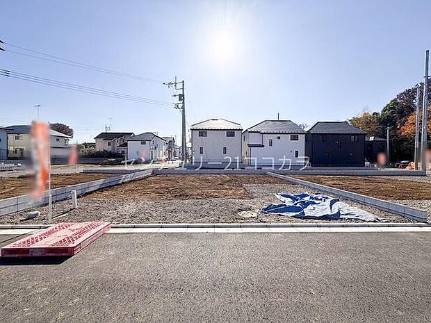 2025年11月28日撮影