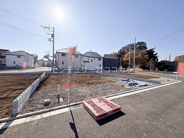 2025年11月28日撮影