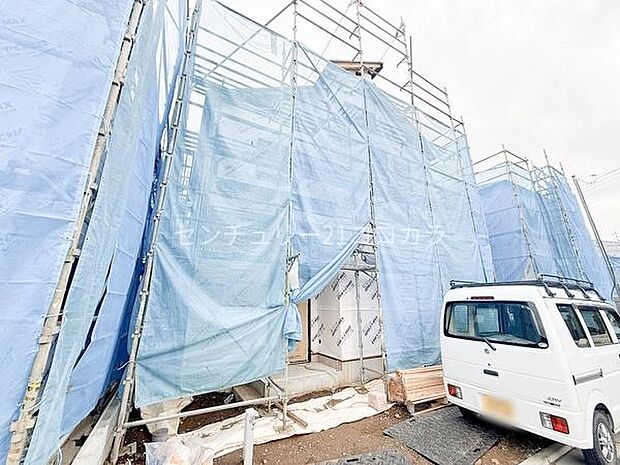 2026年3月6日撮影