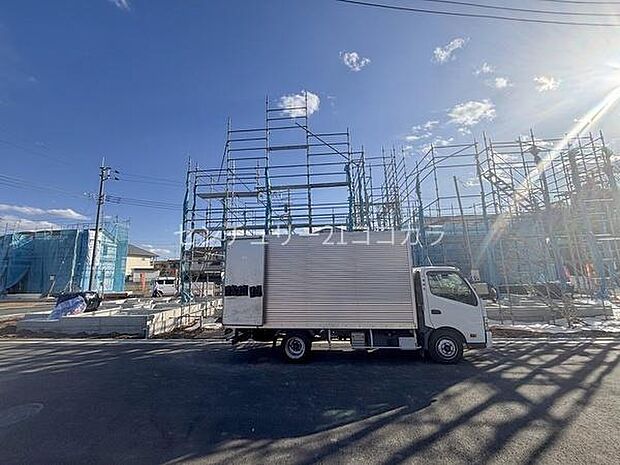 2026年1月30日撮影