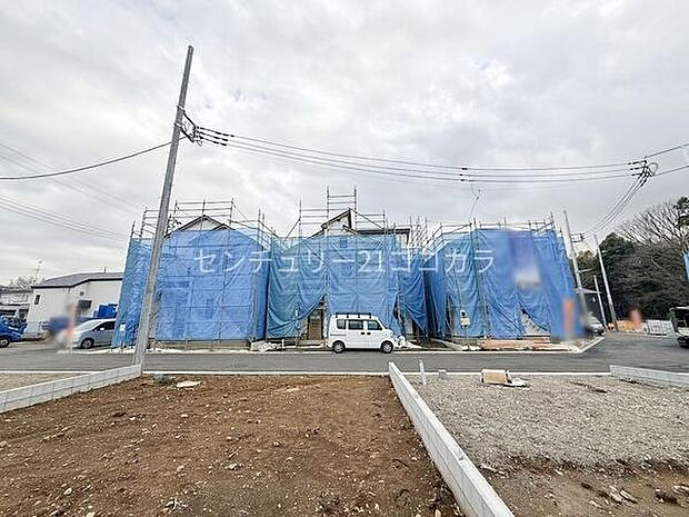 2026年3月6日撮影 全体写真