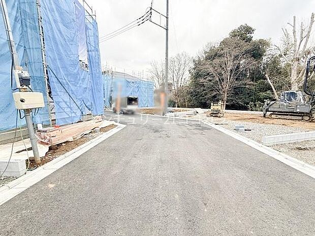 2026年3月6日撮影