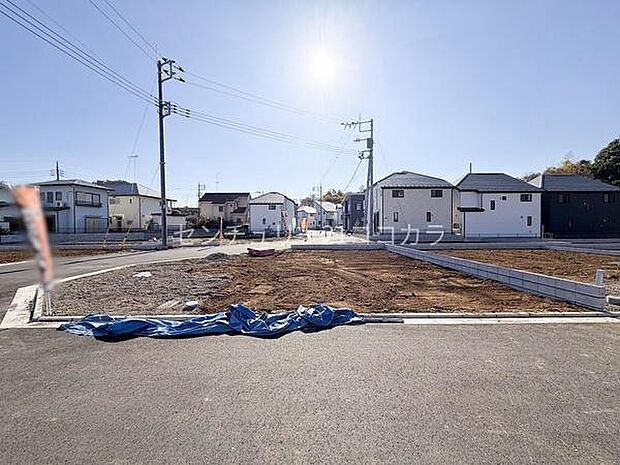 2025年11月28日撮影