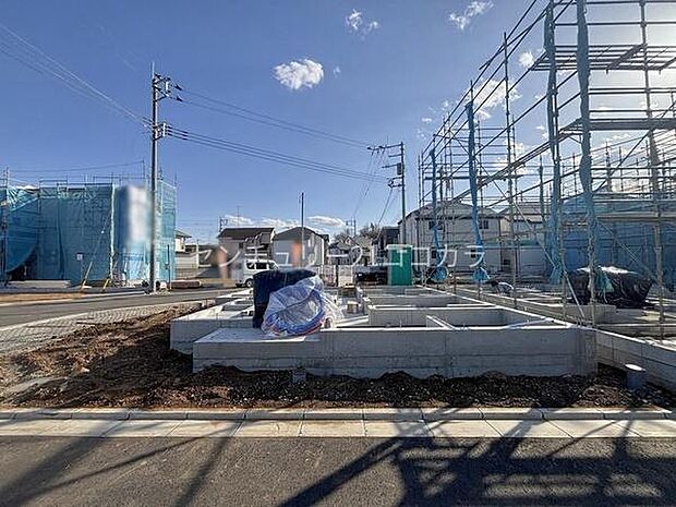 2026年1月30日撮影