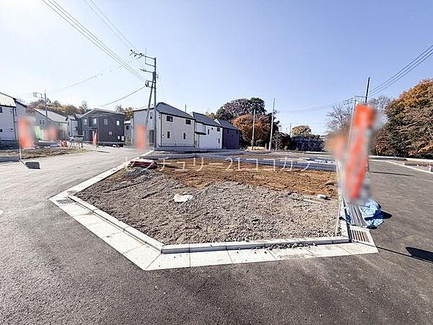 2025年11月28日撮影