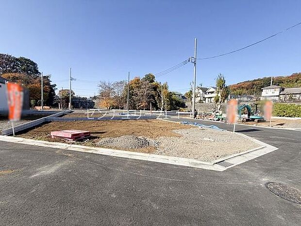 2025年11月28日撮影