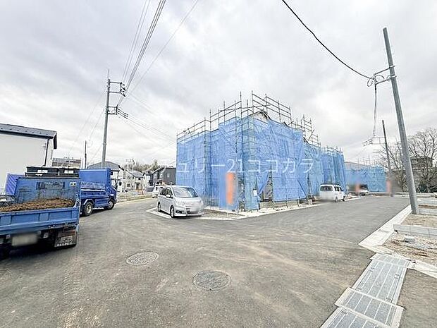 2026年3月6日撮影 全体写真