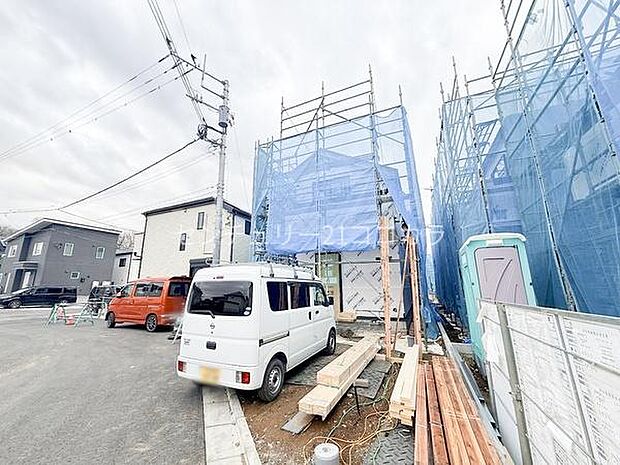 2026年3月6日撮影