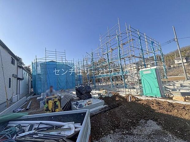 2026年1月30日撮影