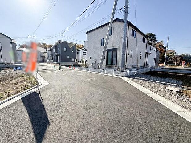 2025年11月28日撮影