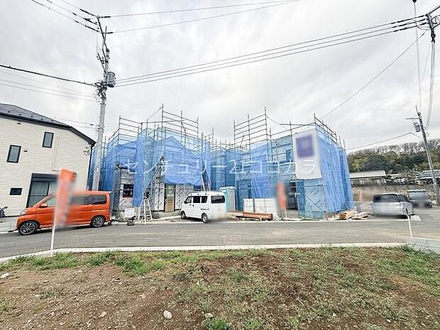 2026年3月6日撮影 全体写真