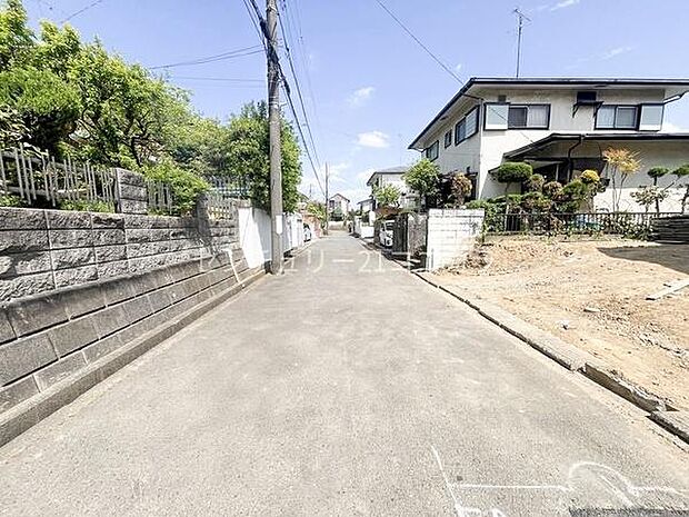 前面道路を含む現地写真