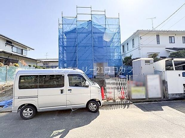 2026年3月12日撮影