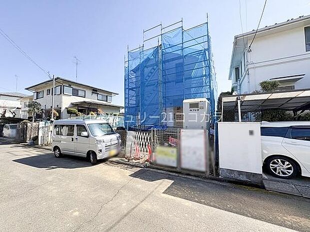 2026年3月12日撮影