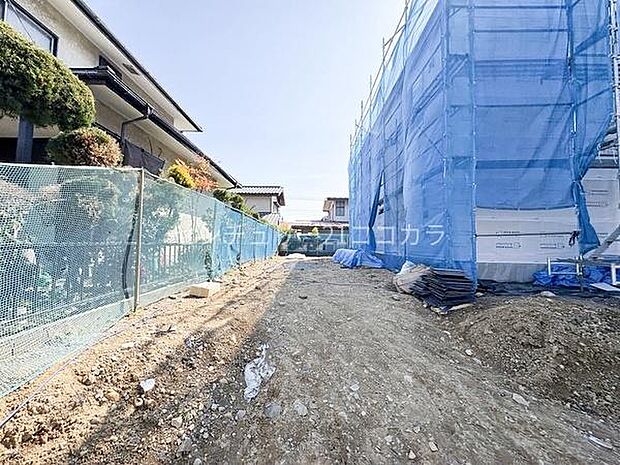 2026年3月12日撮影