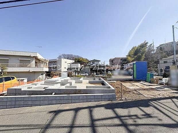 2026年3月12日撮影