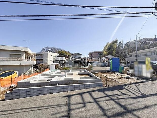 2026年3月12日撮影