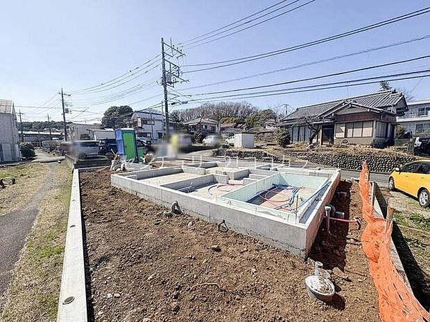 2026年3月12日撮影