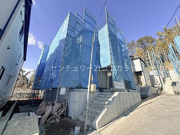 2026年1月23日撮影