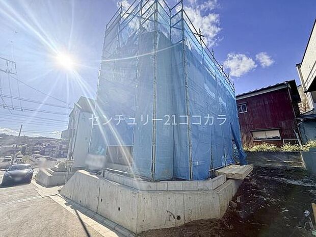 2026年1月23日撮影